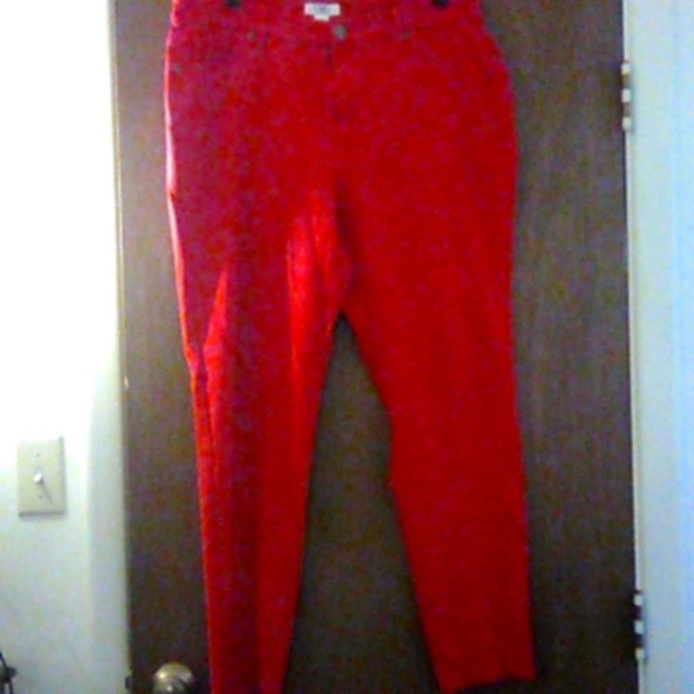 Cato Pants